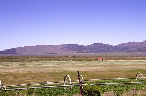 A vast green field stretches towards distant mountains under a clear blue sky, with a small red building in the background.