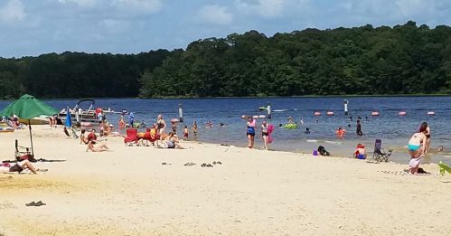 A sandy beach with people swimming and relaxing by a lake, surrounded by trees and a clear blue sky.