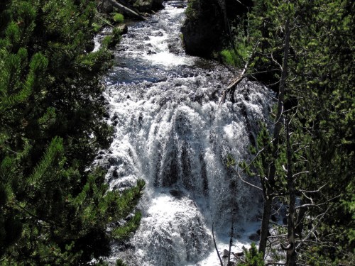 A cascading waterfall flows through a lush green forest, surrounded by trees and rocky terrain.