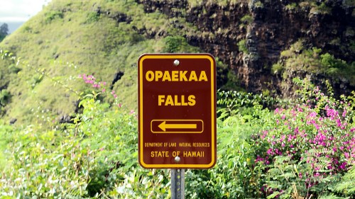 Sign for Opaekaa Falls with an arrow pointing left, surrounded by lush greenery and flowers in Hawaii.