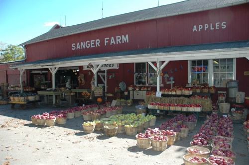 A red barn-style farm stand with baskets of apples outside, labeled "Sanger Farm," surrounded by autumn scenery.