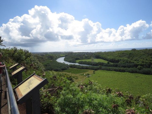 A scenic view of a lush green landscape with a winding river, under a partly cloudy sky.