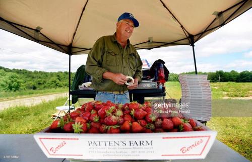 A smiling farmer stands behind a table of fresh strawberries under a tent at a farm stand.