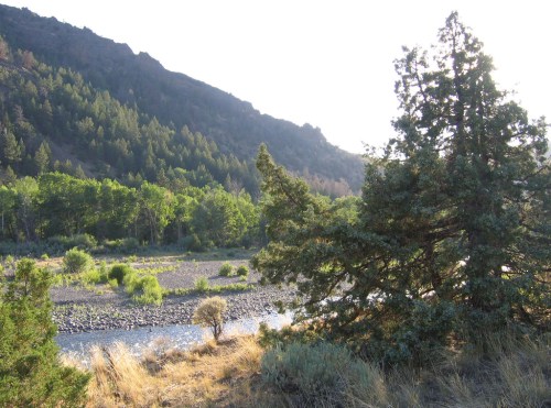 A serene landscape featuring a river, rocky shore, and lush green trees against a backdrop of mountains.
