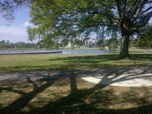 A serene park scene featuring a large tree, a pond, and a building in the background under a clear blue sky.