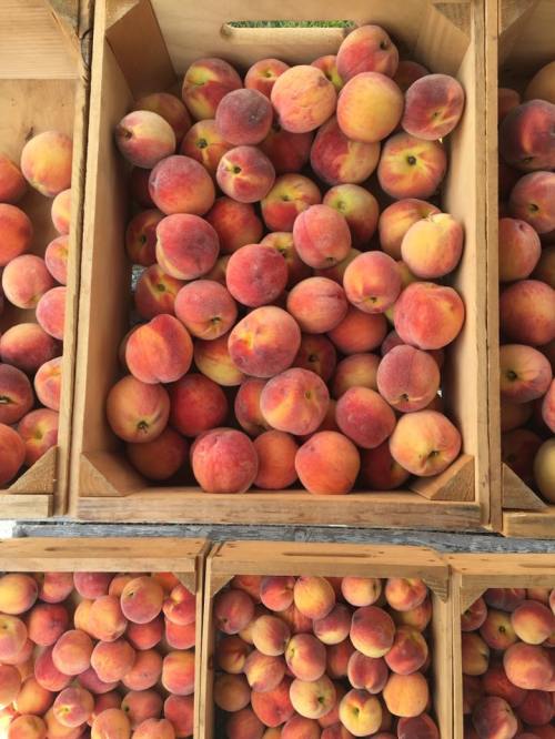 Baskets filled with ripe, fuzzy peaches in various shades of orange and pink.