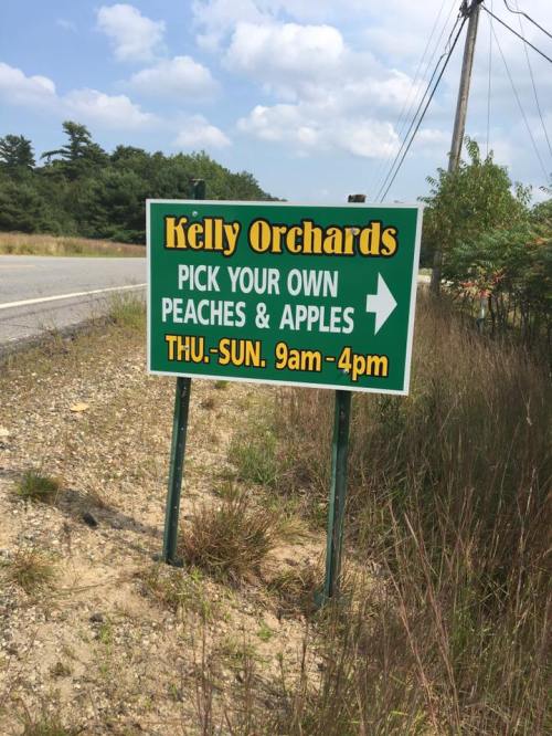 Sign for Kelly Orchards advertising "Pick Your Own Peaches & Apples," open Thursday to Sunday, 9 AM to 4 PM.
