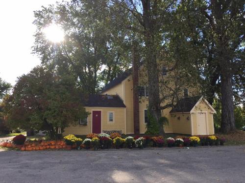A charming yellow house surrounded by trees, with colorful flowers and pumpkins in the foreground, under a sunny sky.