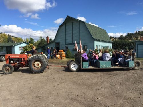 A tractor pulls a trailer filled with people near a blue barn, surrounded by pumpkins and trees on a sunny day.