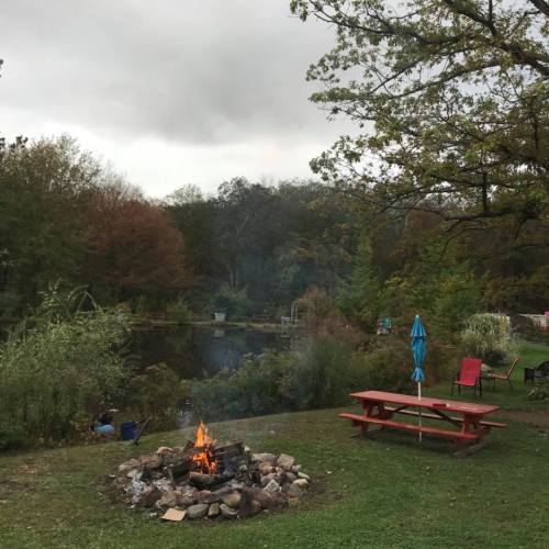 A cozy campfire surrounded by stones, with picnic tables and chairs near a serene pond and lush greenery.