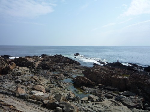 A rocky shoreline meets a calm ocean under a clear blue sky, with gentle waves lapping at the stones.