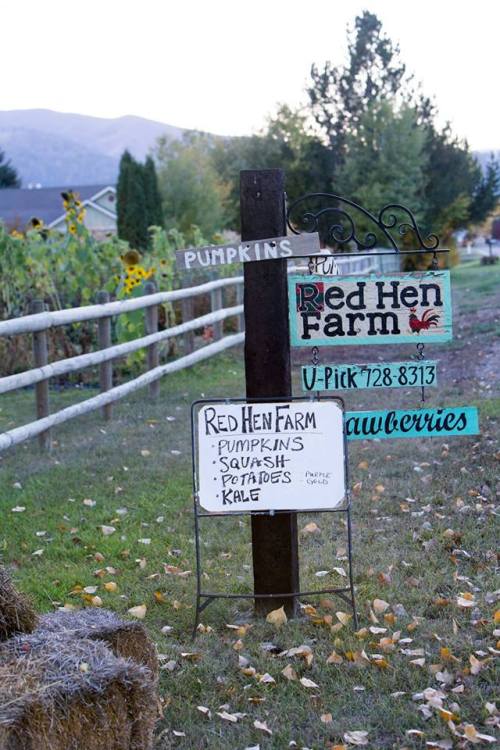 Signpost for Red Hen Farm listing available produce: pumpkins, squash, potatoes, kale, and strawberries. Scenic background.