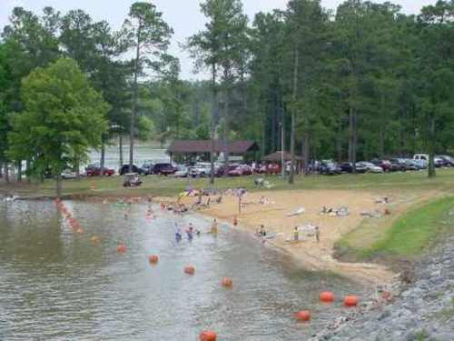 A sandy beach by a lake with people swimming and relaxing, surrounded by trees and parked cars in the background.