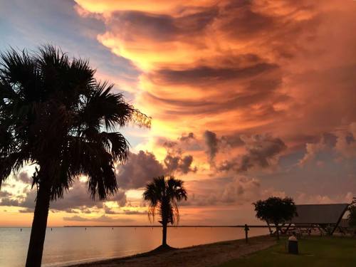 A serene beach scene at sunset, featuring vibrant clouds and palm trees silhouetted against the colorful sky.