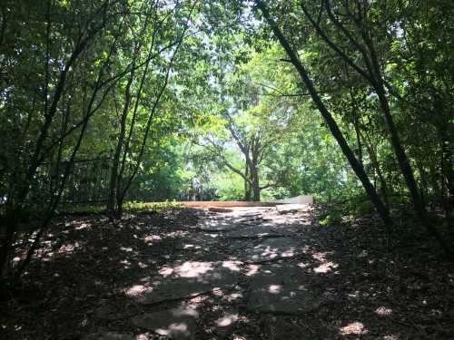 A stone path leads through dense greenery to a clearing with a large tree in the background.