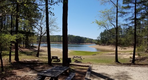 A serene lakeside view surrounded by trees, with picnic tables and a sandy shore under a clear blue sky.