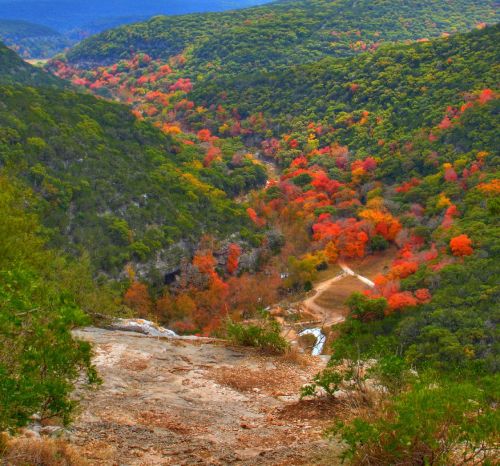 A scenic view of a valley filled with vibrant autumn foliage, surrounded by lush green hills under a clear blue sky.