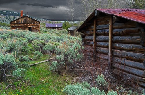 Abandoned log cabins surrounded by overgrown vegetation under a dark, cloudy sky.