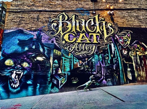 Colorful mural featuring a black cat, alleyway scene, and the text "Bitch Cat Alley" on a brick wall.