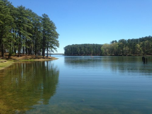 A serene lake surrounded by tall pine trees under a clear blue sky, reflecting the landscape in calm waters.