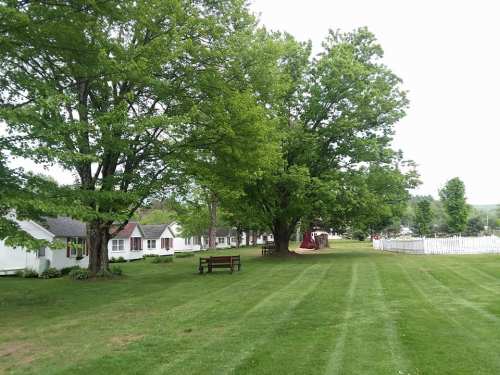 A grassy area with trees, a bench, and houses in the background, creating a peaceful, suburban scene.