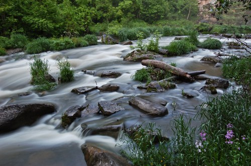 A serene river flows over rocks, surrounded by lush greenery and wildflowers, creating a tranquil natural scene.
