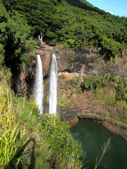 A scenic view of a waterfall cascading into a lush green pool surrounded by dense vegetation.
