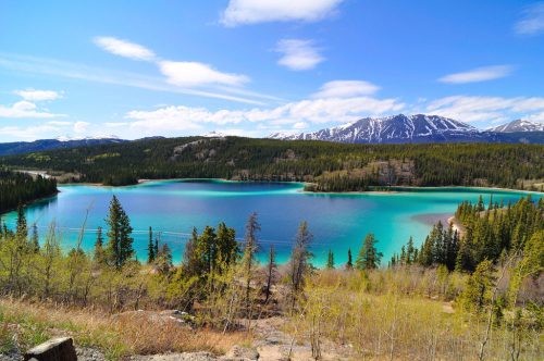 A scenic view of a turquoise lake surrounded by green forests and snow-capped mountains under a blue sky.