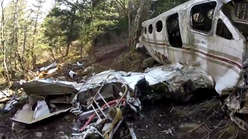 Wreckage of a small aircraft in a forested area, surrounded by trees and debris from the crash.