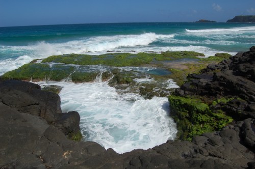 Waves crash against rocky shore with green moss, creating a scenic coastal view under a clear blue sky.