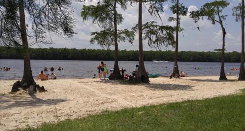 A sandy beach by a river, with people swimming and relaxing under trees on a sunny day.