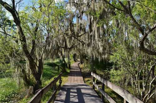 A wooden boardwalk winds through a lush, green landscape with trees draped in Spanish moss.