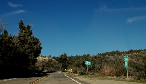 A winding road with green directional signs and a clear blue sky above. Lush greenery lines the roadside.