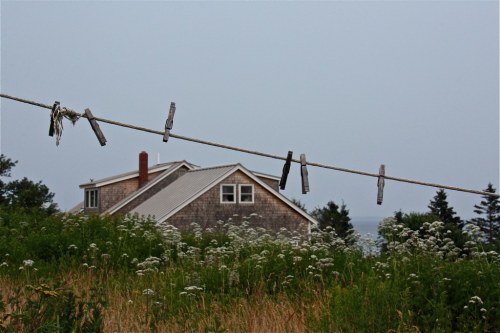 A clothesline with clothespins stretches across a grassy field, with a house and trees in the background under a gray sky.