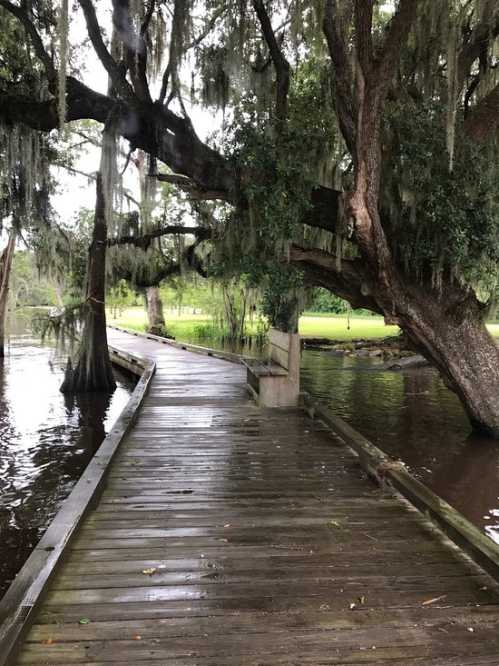 A wooden walkway leads through a lush, green landscape with a large tree and water on either side.