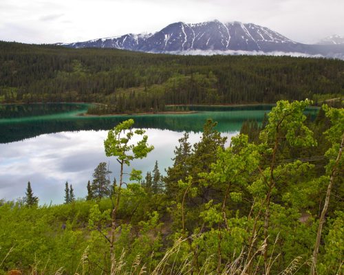 A serene landscape featuring a lake reflecting mountains, surrounded by lush greenery and trees under a cloudy sky.