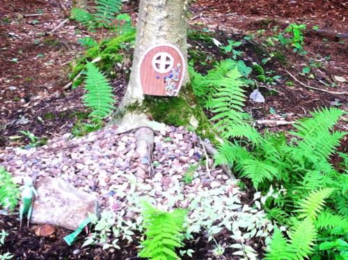 A small wooden door set into a tree trunk, surrounded by ferns and pebbles in a forested area.