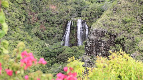 A lush green landscape featuring a cascading waterfall surrounded by vibrant foliage and colorful flowers in the foreground.