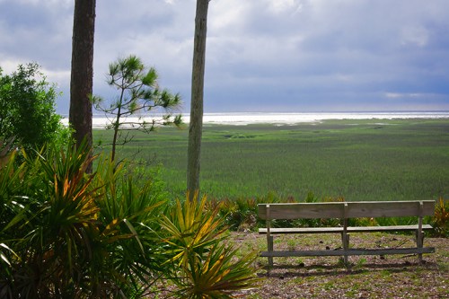 A wooden bench overlooks a lush green landscape with a distant view of the ocean under a cloudy sky.