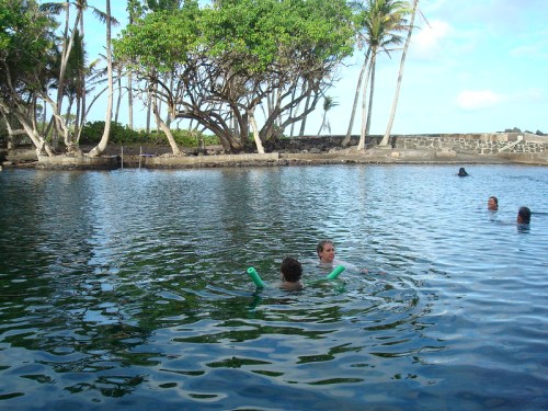 Two people swim in a calm, greenish pool surrounded by trees, with others enjoying the water in the background.