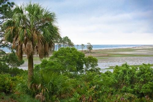 A coastal landscape featuring palm trees, lush greenery, and a view of the ocean under a cloudy sky.
