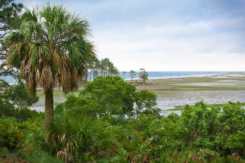 A coastal landscape featuring palm trees, lush greenery, and a view of the ocean under a cloudy sky.