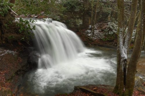 A serene waterfall cascades over rocks, surrounded by lush greenery and autumn leaves, creating a tranquil natural scene.