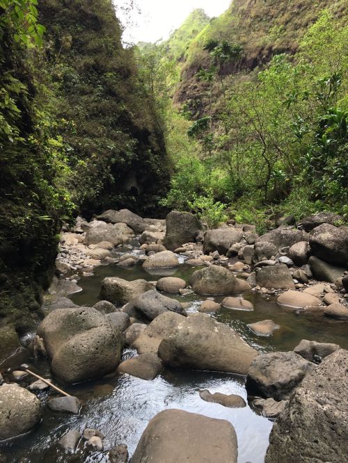 A serene river flows through a rocky canyon, surrounded by lush greenery and steep, moss-covered cliffs.