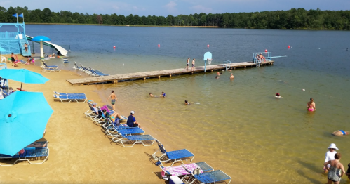 A sunny beach scene with people swimming, lounging on chairs, and a slide by the water. Trees line the background.