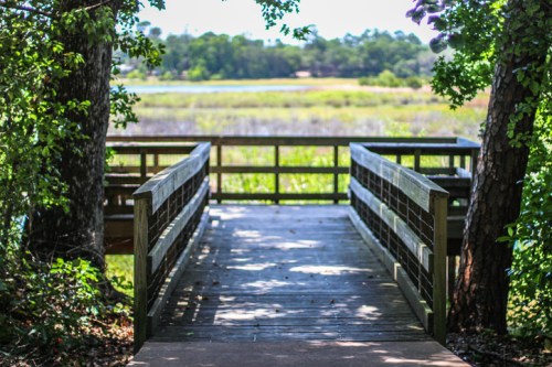 A wooden walkway leads to a scenic view of a grassy area and water, framed by trees on either side.