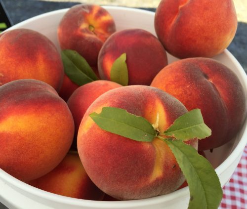 A bowl filled with ripe, fuzzy peaches, some with green leaves, showcasing their vibrant red and yellow hues.