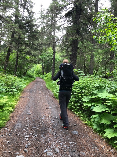 A hiker with a backpack walks along a gravel path surrounded by lush green trees and foliage.
