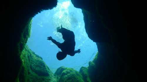 A silhouette of a person swimming underwater, surrounded by green mossy rocks and illuminated by blue light.