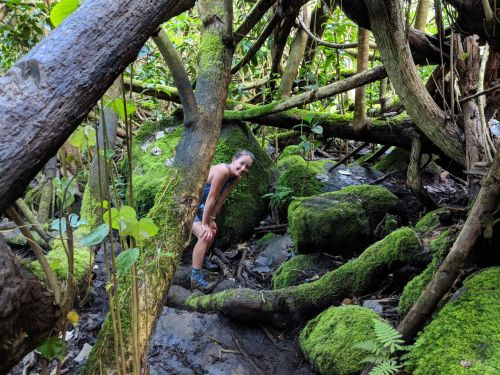 A person peeks out from behind a moss-covered rock in a dense, green forest filled with trees and vines.